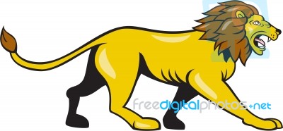 Angry Lion Walking Roar Cartoon Stock Image