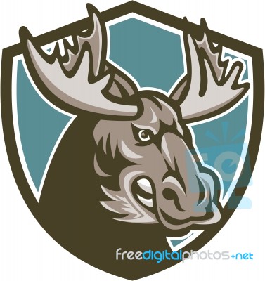 Angry Moose Mascot Shield Stock Image