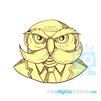 Angry Owl Man Mustache Doodle Color Stock Image