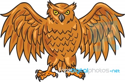 Angry Owl Wings Spread Drawing Stock Image