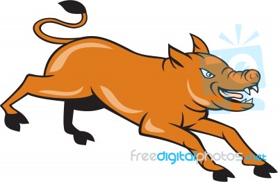 Angry Pig Jumping Attacking Cartoon Stock Image