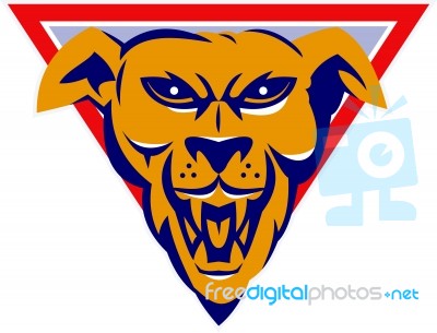 Angry Wild Dog Wold Head Triangle Retro Stock Image