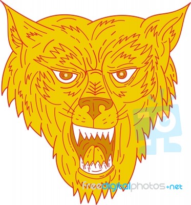 Angry Wolf Head Mono Line Stock Image