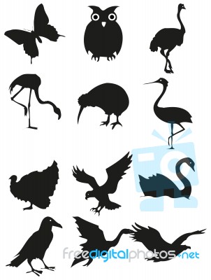 Animal Silhouette Stock Image