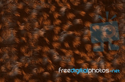 Animal Skin Background Stock Image