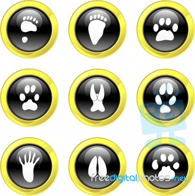 Animal Track Icons Stock Image