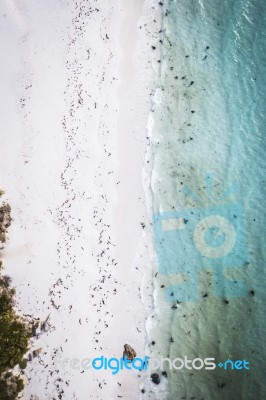 Ansons Bay From Above, Located Near Bay Of Fires On The North-east Coast Of Tasmania Stock Photo