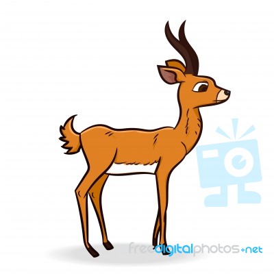 Antelope Cartoon -  Illustration Stock Image