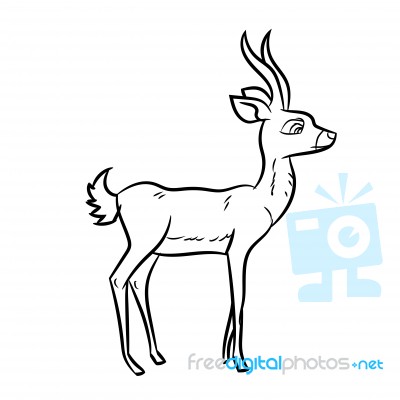 Antelope Cartoon - Line Drawn Stock Image