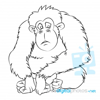 Ape Cartoon - Line Drawn Stock Image