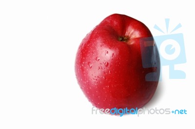 Apple Stock Photo