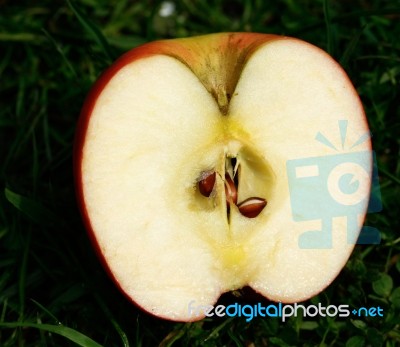 Apple Stock Photo