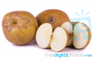 Apple Cultivar Stock Photo