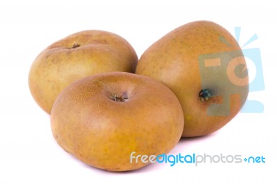 Apple Cultivar Stock Photo