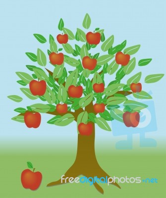 Apple Tree Stock Image