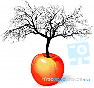 Apple Tree From Fruit Stock Image