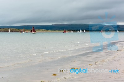 Appledore, Devon/uk - August 14 : Sailing In The Torridge And Ta… Stock Photo