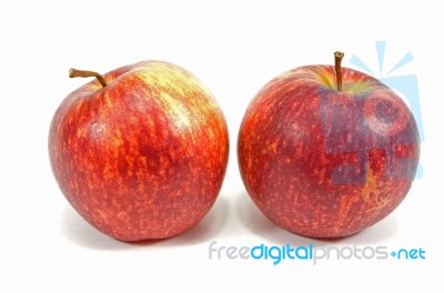 Apples On White Background Stock Photo