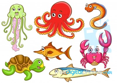 Aquatic Animals Stock Image