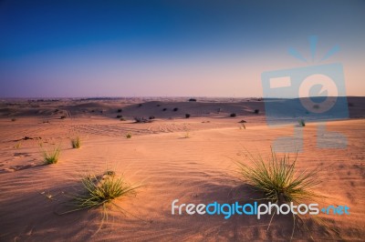 Arabic Desert Stock Photo