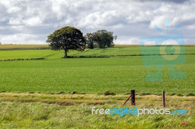 Arable Farming Field Near Munlochy Stock Photo