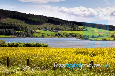 Arable Farming Field Near Munlochy Bay Stock Photo