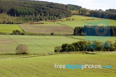 Arable Landscape Near Drumderfit Stock Photo