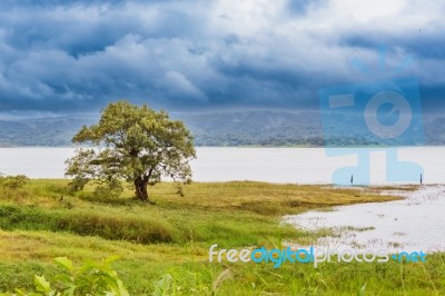 Arenal Lagoon Lake At The Footsteps Of Volcano Arenal In Costa R… Stock Photo