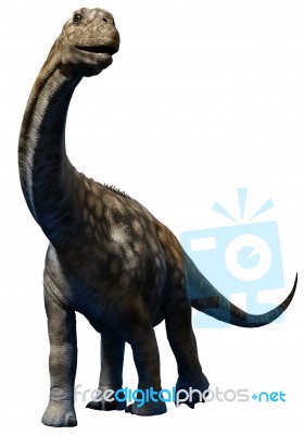 Argentinosaurus Juvenile Stock Image