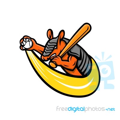 Armadillo Baseball Mascot Stock Image