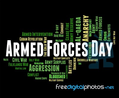 Armed Forces Day Shows Military Action And Army Stock Image