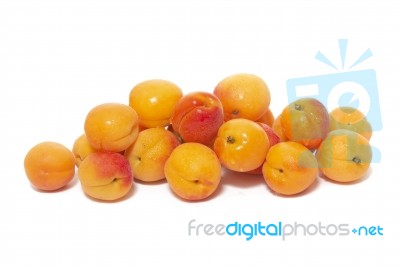 Armenian Plums (prunus Armeniaca) Stock Photo