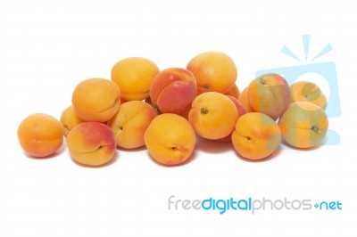 Armenian Plums (prunus Armeniaca) Stock Photo