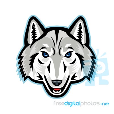 Artic Wolf Head Front Mascot Stock Image