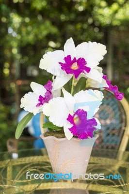 Artificial Cattleya Orchid Flowers Stock Photo