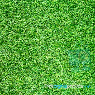 Artificial Grass Field Top View Texture Stock Photo