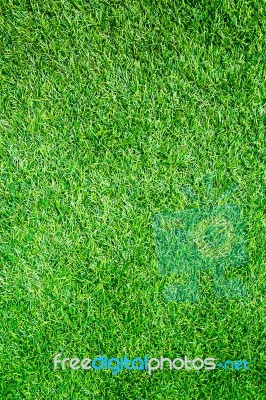 Artificial Grass Field Top View Texture Stock Photo