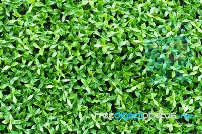 Artificial Tiny Green Leaves Texture Stock Photo