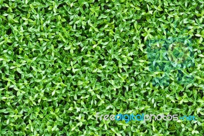 Artificial Tiny Green Leaves Texture Stock Photo