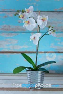 Artificial White Orchid In Galvanize Can Setting On Grunge Blue Stock Photo