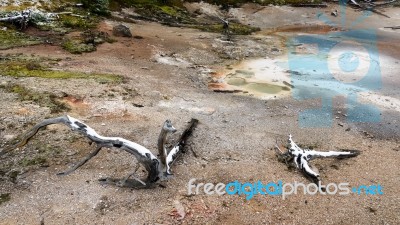 Artist Paint Pots In Yellowstone National Park Stock Photo