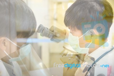 Asia Scientist Working In Biological Laboratory Stock Photo