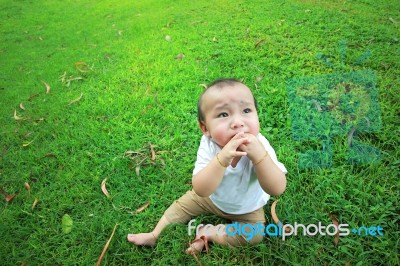 Asian Baby Stock Photo