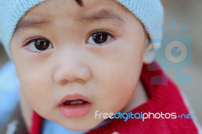 Asian Baby Stock Photo