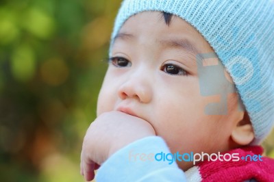 Asian Baby Stock Photo