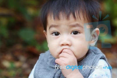 Asian Baby Stock Photo