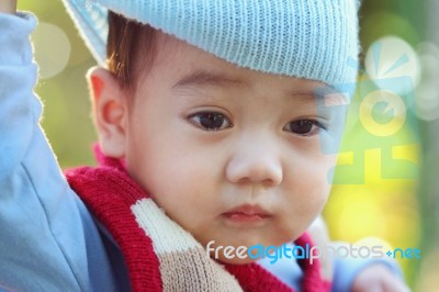 Asian Baby Stock Photo