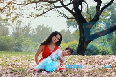 Asian Family Stock Photo