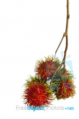 Asian Fruit Rambutan On The Plain Background Stock Photo