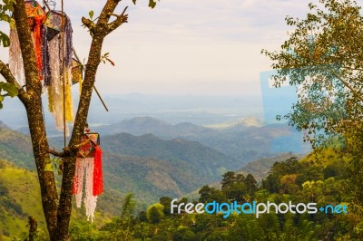 Asian Landscape Stock Photo